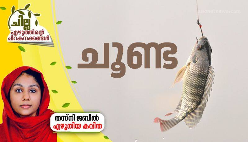 chilla malayalam poem by Thasni Jabeel