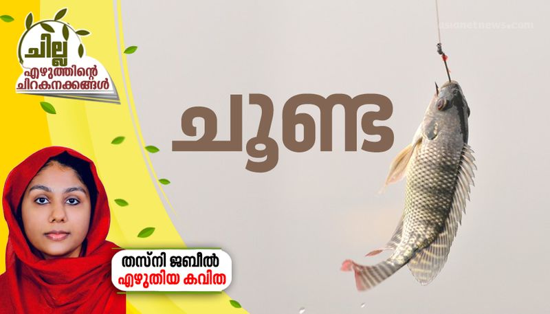 chilla malayalam poem by Thasni Jabeel