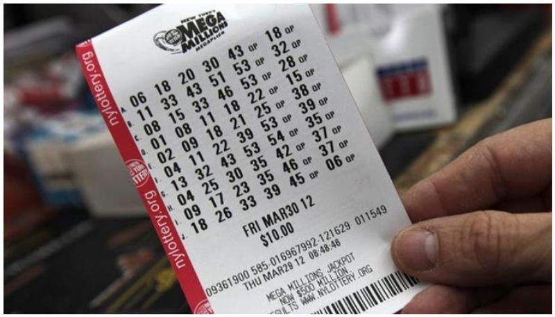 misplaced bumper lottery ticket fight leads to divorce man learns a lesson