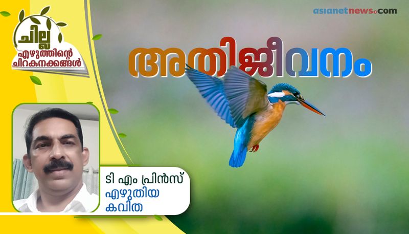 chilla malayalam poem by TM Prince