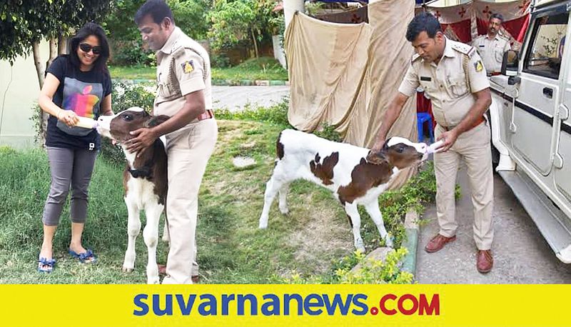 Heart Attack cow Lover Bengaluru Police Officer died mah