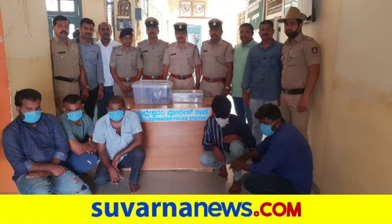 bengaluru-cops-arrest-5-for-smuggling-sperm-whale-ambergris-mah