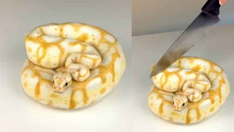 Viral Video Of Snake Cake Has The Internet Stunned