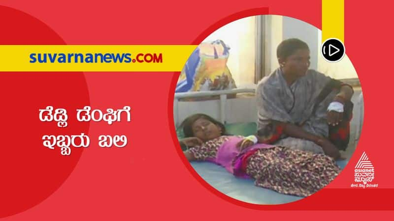 Two Died due to Dengue Fever at Manvi in Raichur grg