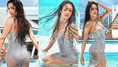 Malaika Arora : বাথরুম থেকে প্যান্ট ছাড়াই বেরিয়ে এলেন মালাইকা, চরম ট্রোলড নায়িকা