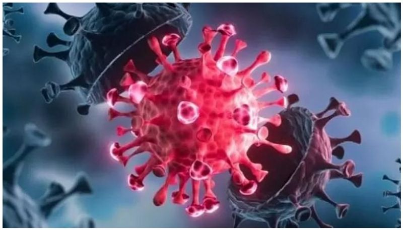 6 Persons Found Infected with AY.4 Variant of Coronavirus in Madhya Pradesh