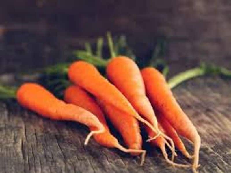 carrot cultivation farmers happy for good rate of sales