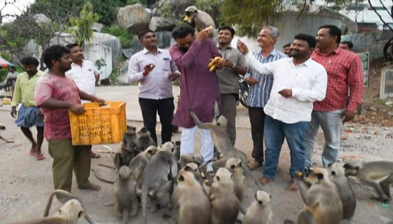 Minister sriramulu Time Spends With monkies at Koppal rbj