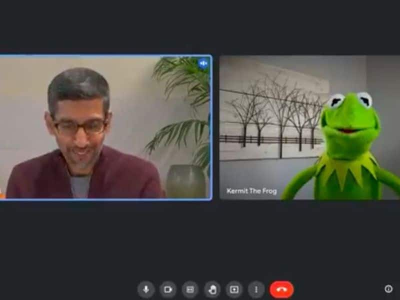 Google CEO forgot to unmute Kermit the Frog roasts Sundar Pichai