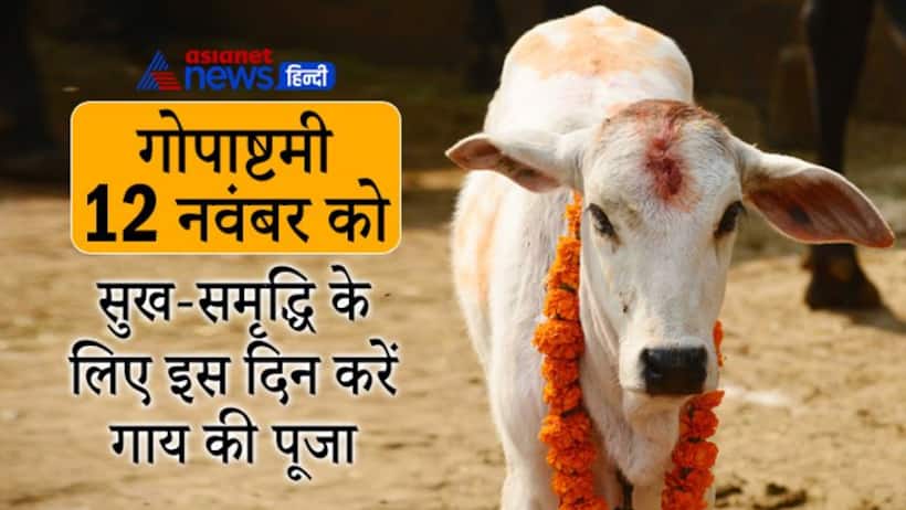 Gopashtami 2021: गोपाष्टमी 12 नवंबर को, इस दिन गाय की पूजा करने से घर में बनी रहती है सुख-समृद्धि