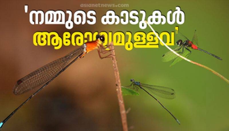 72 species of Odonata were found in the Odonata survey conducted at Peechi