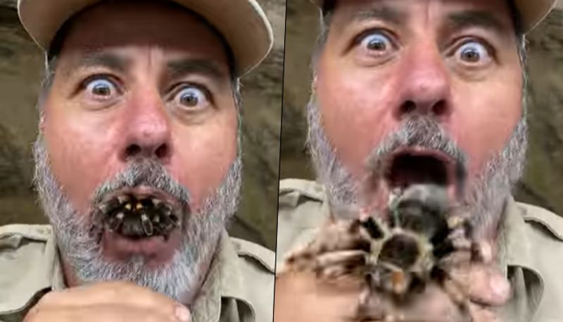 Spider crawls out of zookeeper's mouth; here's what happens next - gps