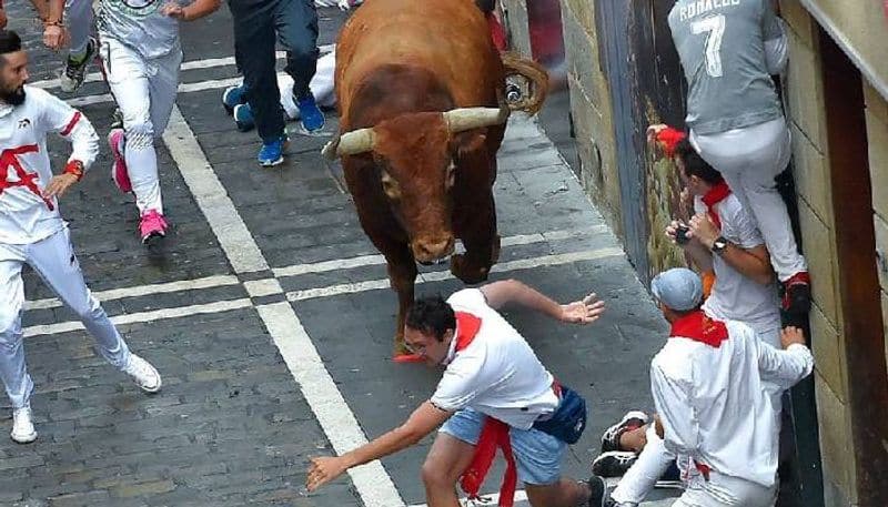 man killed by bull in bull running event