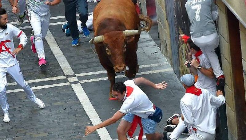 man killed by bull in bull running event