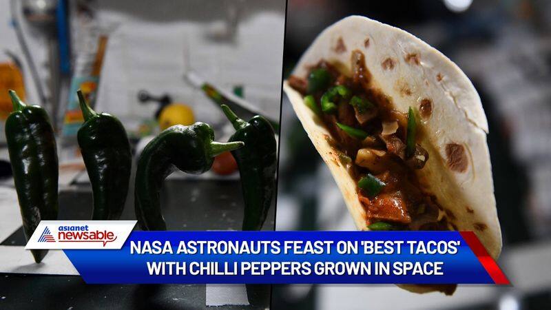 NASA astronauts feast on tacos with chilli peppers grown in space