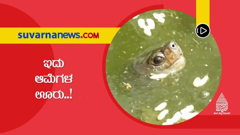 Villagers Bonding to Belief Turtles in Kolar grg