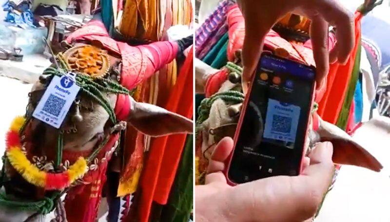 Street performer with bull takes digital payment to next level; Anand Mahindra shares amazing video-tgy