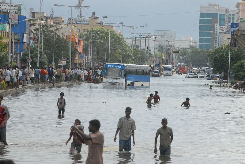 Tamil Nadu rains Trees uprooted house flooded in Chennai IMD issues weather warning gcw