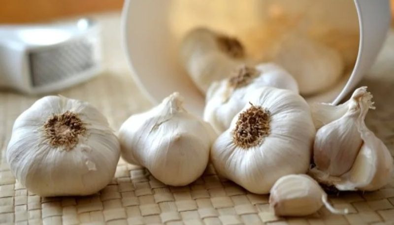 benefits of adding Garlic in Winter Diet