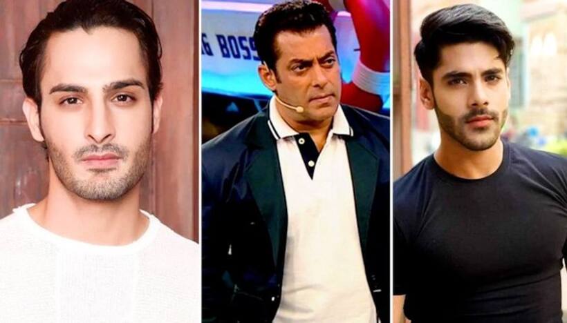 Bigg Boss 15: Salman Khan points out Umar Riaz's provocation towards Simba Nagpal, here is what he said