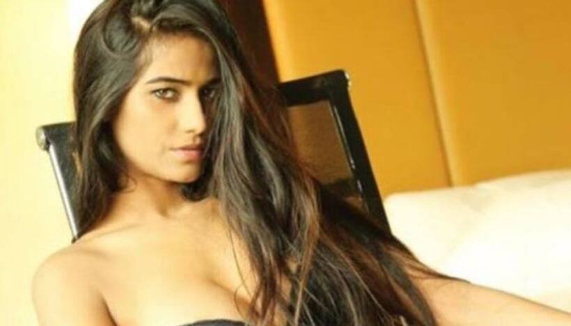 Poonam Pandey controversies: From naked photoshoot to stripping and more