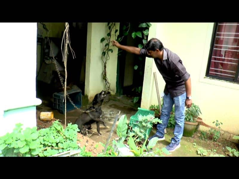 dog entered the house while the landlord was out  released after hours of effort