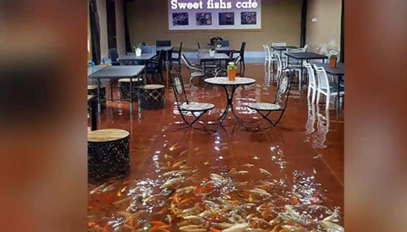 Guests Seated in Fish Tank in a restaurant