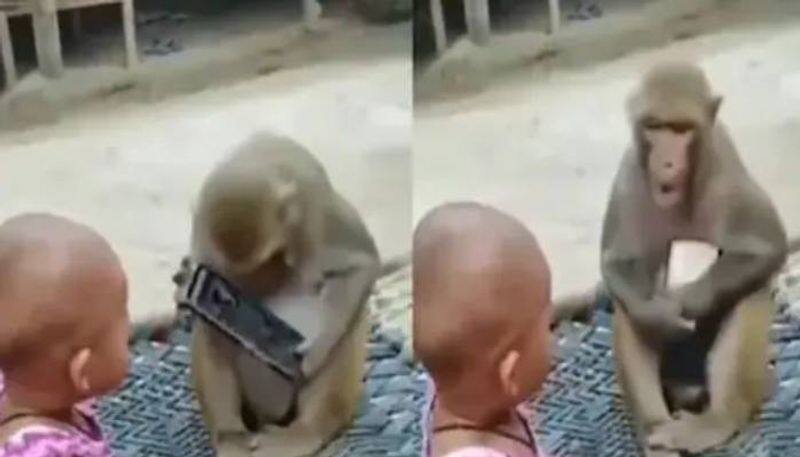 baby and monkey trying to snatch mobile phone