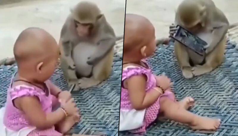 Monkey little girl snatch mobile phone from each other; hilarious video goes viral - gps