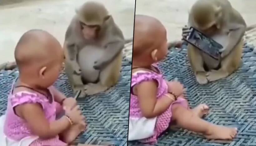 Monkey, little girl snatch mobile phone from each other; hilarious video goes viral