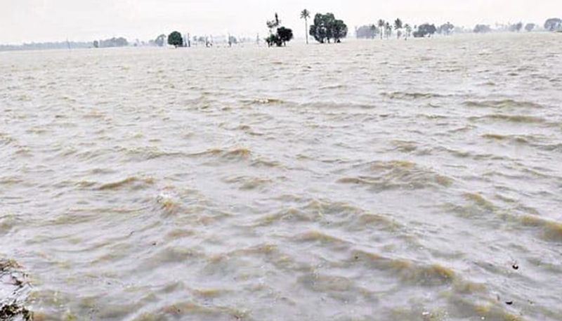 Heavy rains lash Nellore, Chittoor districts in Andhra pradesh