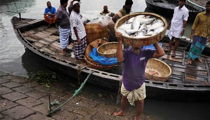 Bangladeshi catla- পদ্মায় ইলিশ ধরতে গিয়ে জালে উঠল ১৬ কেজির কাতলা, দাম শুনলে অবাক হবেন