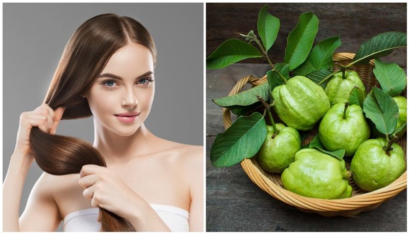 Guava leaves hair pack hair growth