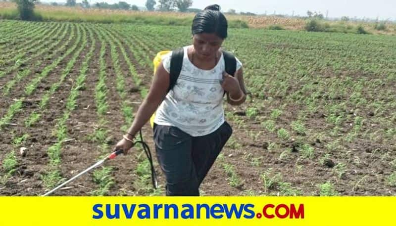 Female Graduate Agriculture Work Beyond Men in Koppal grg