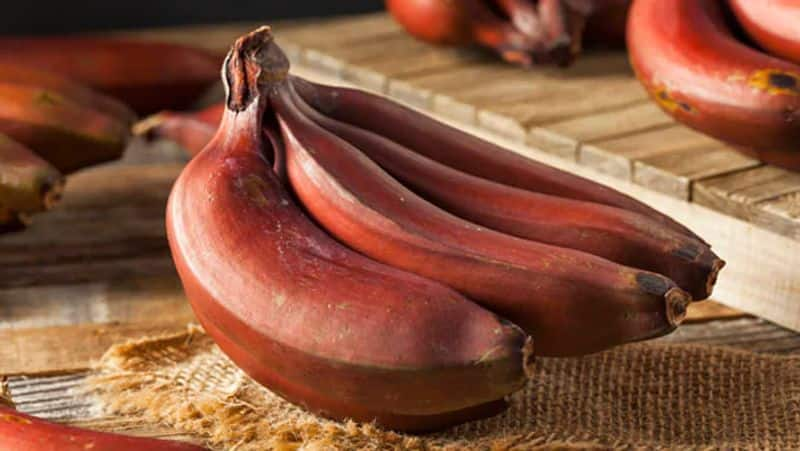 amazing health benefits of red banana reasons you must eat red bananas everyday in tamil mks