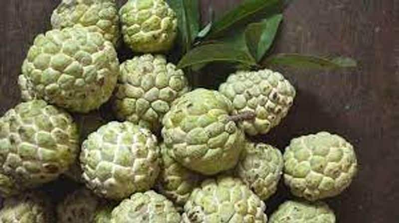 health tips is custard apple good for diabetes patients in tamil mks