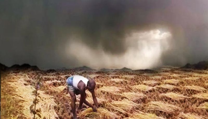 7 farmer commits Suicide after Heavy rain Due to crop loss in Karnataka snr