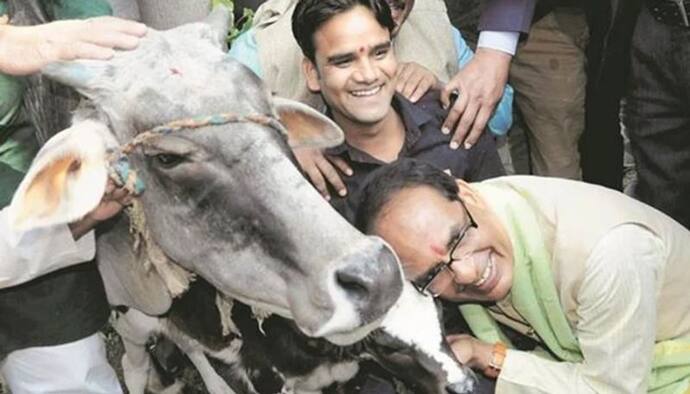 गाय के गोबर और मूत्र से मजबूत हो सकती है देश की अर्थव्यवस्था, CM shivraj ने बताया पूरा प्लान