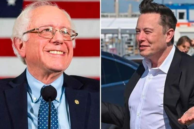 I keep forgetting you're still alive:' Elon Musk trolls Bernie Sanders on Twitter