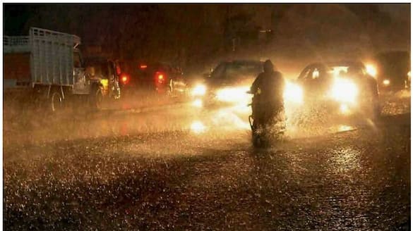 Weather: Heavy rain expected in Kerala; yellow alerts for Thiruvananthapuram, 5 other districts dmn