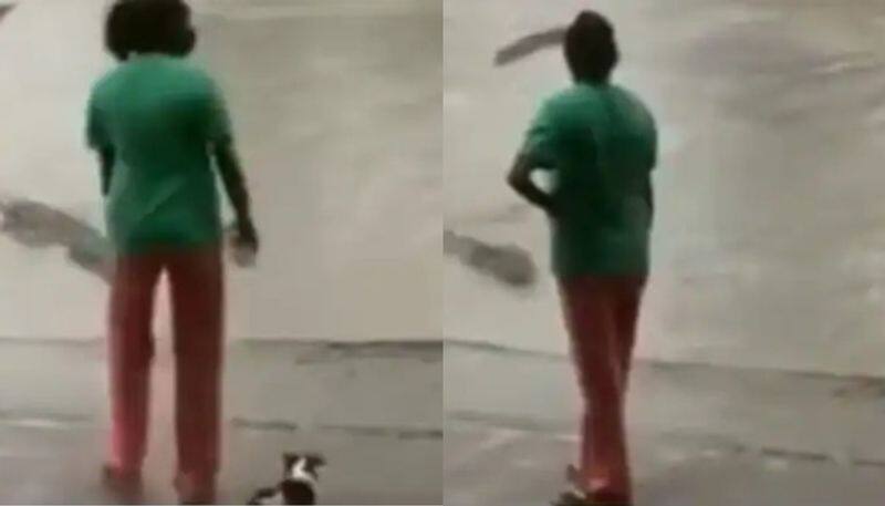 Woman uses her slippers to scare off crocodile in viral video