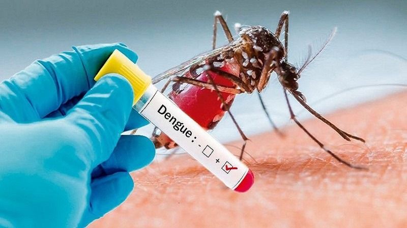 Udupi Health Department constitutes works to prevent the dengue spread gow