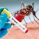 National Dengue Day 2025 signs symptoms and prevention 