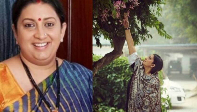 Smriti Irani looks unrecognisable in recent post, check it out
