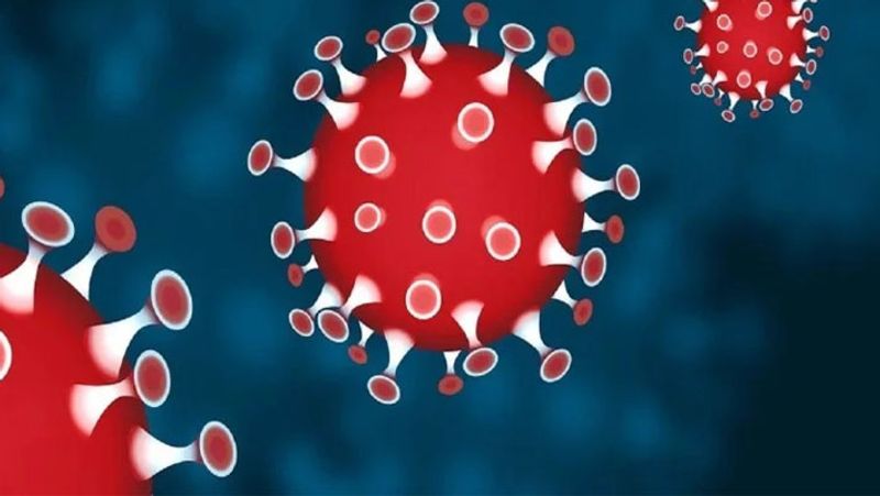 Covid 19 new Variant omicron spreads to 9 countries travel curbs imposed mnj