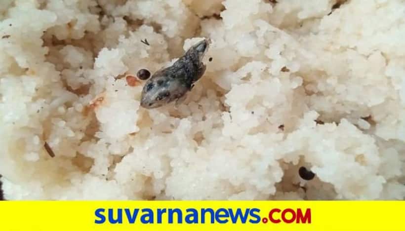 Karnataka: Over 50 students hospitalised with symptoms of food poisoning, dead snakelet found in meal