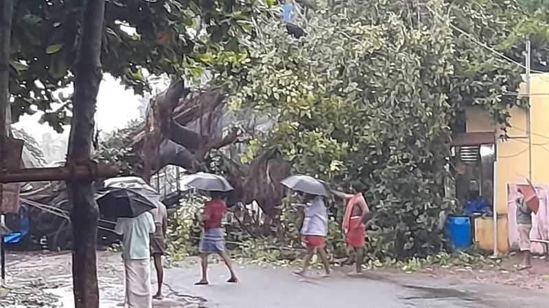 Tirupati Chittoor receive heavy downpour triggered by depression in Bay of Bengal pod