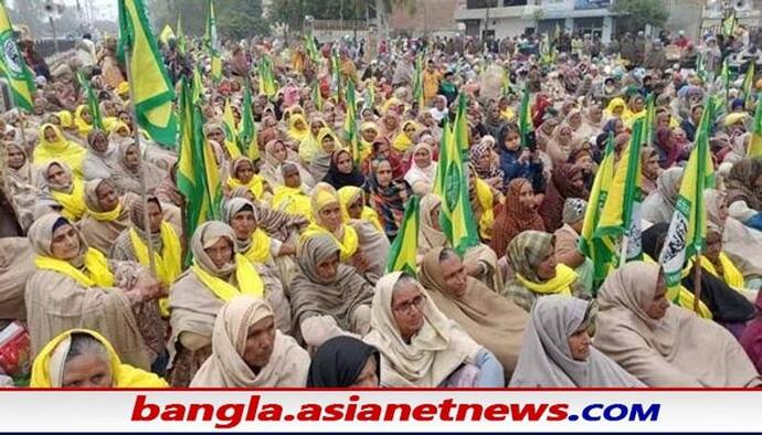 Farm law Repeal: আচমকা কৃষি আইন প্রত্যাহারে ক্ষোভ, বিজেপি ছাড়ার হিড়িক এই জেলায়