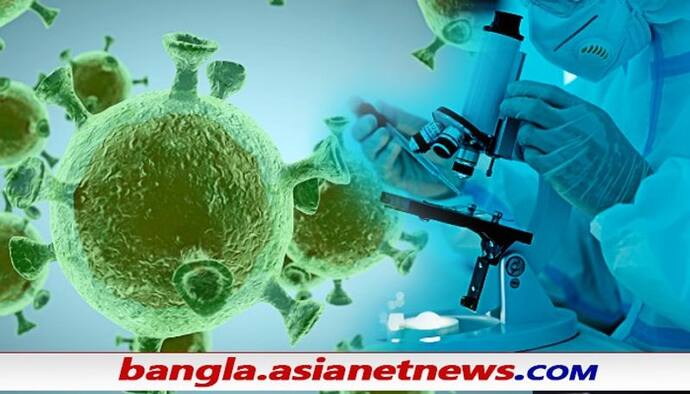 Virus Alert: চিনে ওঁত পেতে আরও ১৮টি হাই রিস্ক ভাইরাস, কাবু করে দিতে পারে মানব সভ্যতাকে