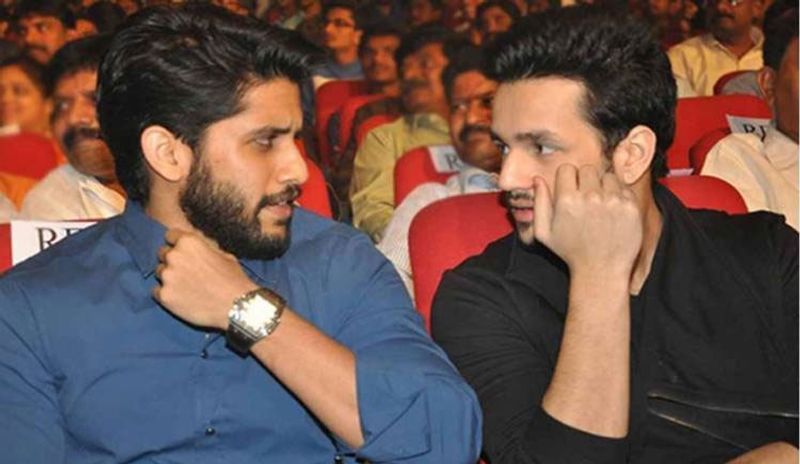 birthday boy naga chaitanya has one more brother like akhil